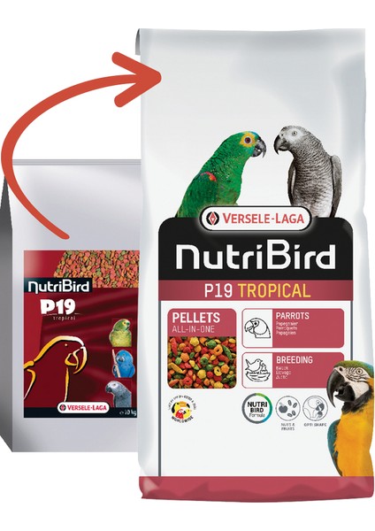 Nutrıbırd P19 Tropıcal Papağan Pelet Yem 10KG Sptgl
