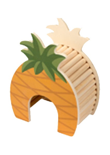 Ahşap Kemirgen Yuvası Ananas Sptgl