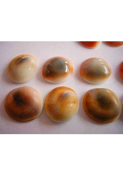 Yılancık Taşı 19 Adet, Doğal ve Şifalı Taş Seti