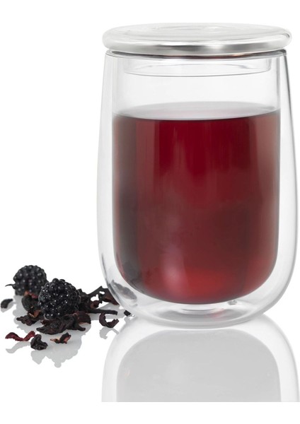 Çift Cidarlı Borosilikat Çay Bardağı ve Çay Filtresi 13,5 cm 0,4 L fırsatları