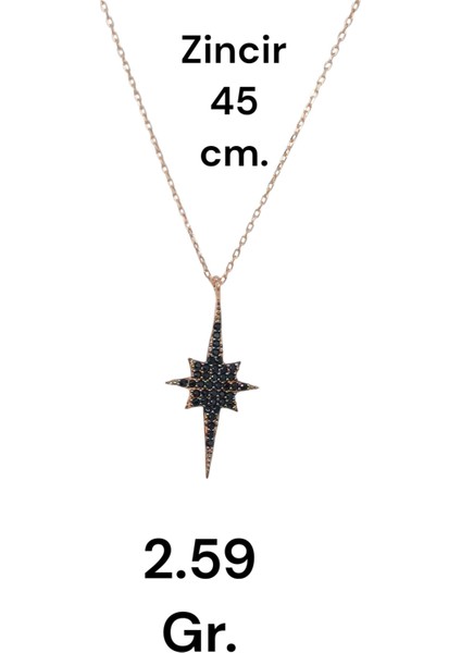 Siyah Taşlı Rose Gold Kaplama 925 Ayar Gümüş Kuzey Yıldızı Kolye – Anlamlı ve Şık Tasarım fiyatları