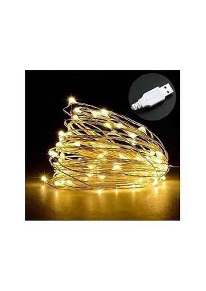 Hidz Peri̇ LED 10 Metre USB Gi̇ri̇şli̇