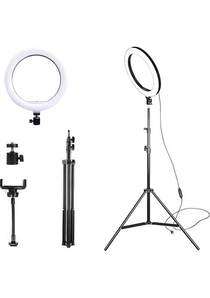 Ally 10 Inch Halka LED TRIPOD(1.30M)YOUTUBER Video Selfie Stüdyo Makyaj Işığı - CRM6197-5524