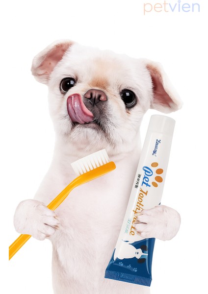 Kedi Köpek Diş Macunlu Diş Fırçası Seti - Evcil Hayvan Dental Kit Diş Sağlık Seti