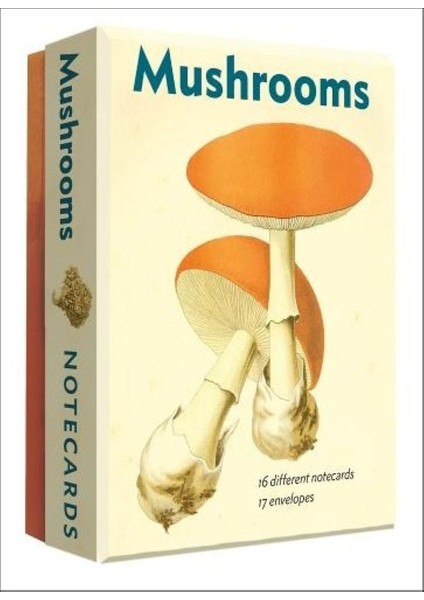 Mushrooms, León Dufour’un Mantar Atlasından 16’lı Not Kartı Seti