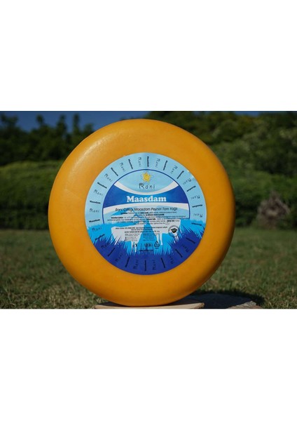 Maasdam Peyniri 250-300 gr