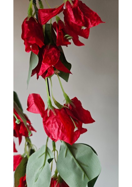 Yapay Sarkan Bitki Begonvil 8 Dallı 70 cm modelleri