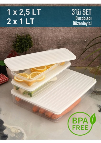 3'lü Kapaklı Saklama Kabı, Buzdolabı Organizer Mikrodalga ve Difrize Uygun 4,5lt