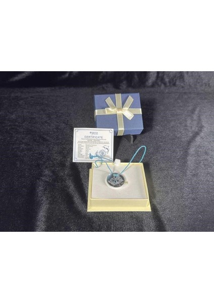 Cameroon 500 Francs 2021 – Hug Me Dolphins With Sertifikalı ve Kutulu Kamerun Gümüş Hatıra Para