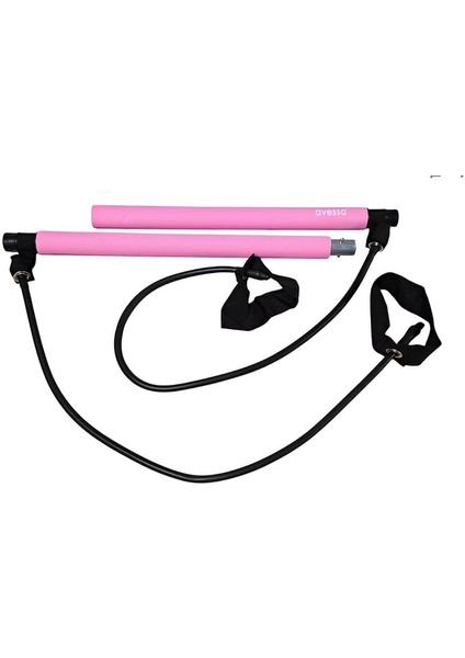 Süpertrend Fb-10 Pınk Fitness Bar Pembe