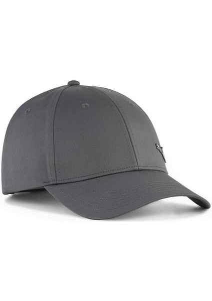 Ess Metal Cat Bb Cap Unisex Şapka 025994-09 fiyatları