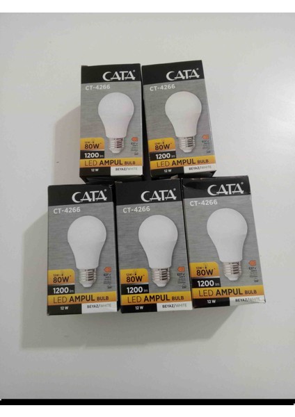 12 Watt LED Ampul