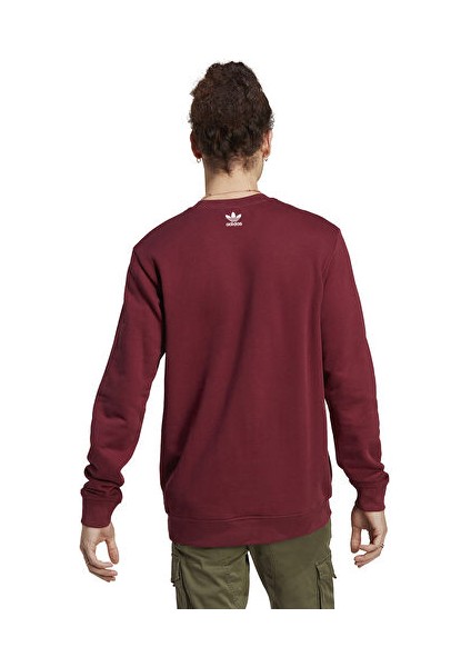 IC5770 Hta Crew Erkek Sweatshirt fiyatları