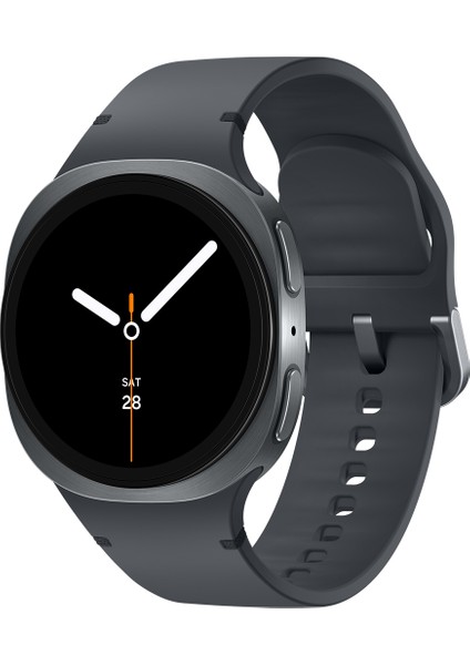 Galaxy Watch8 Small Koyu Gri SM-L320NDAATUR