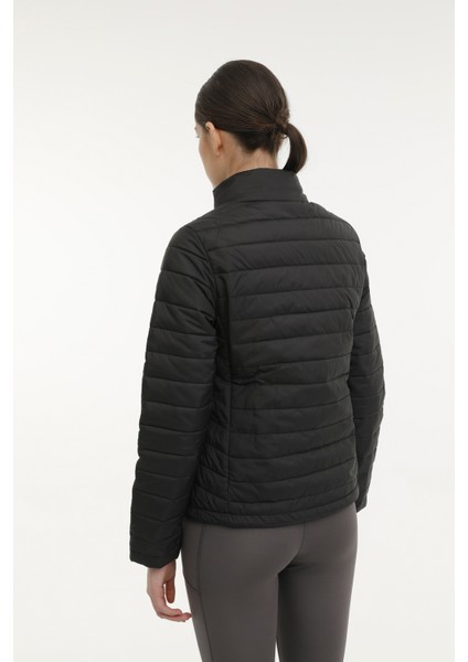 WB PADDED 1SN659 3PR Siyah Kadın Mont fiyatları