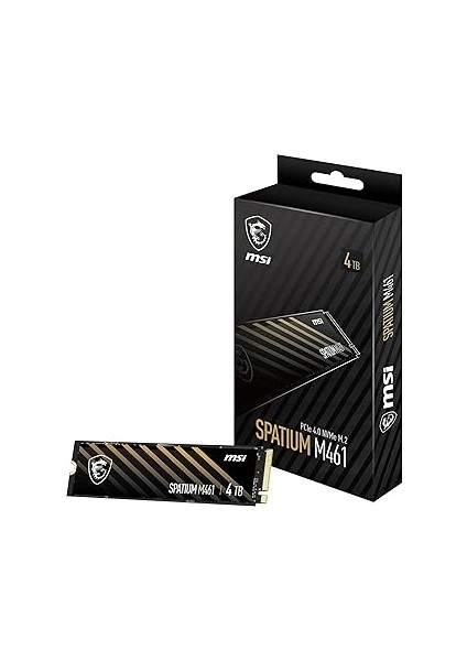 SSD Spatium M461 Pcie 4.0 Nvme M.2 4tb R:5000 W:4200