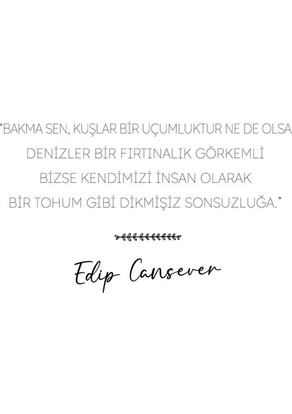 At Şu Adımı - Ahmet Şerif İzgören modelleri