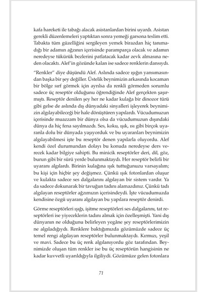 Pia Mater - Serkan Karaismailoğlu
