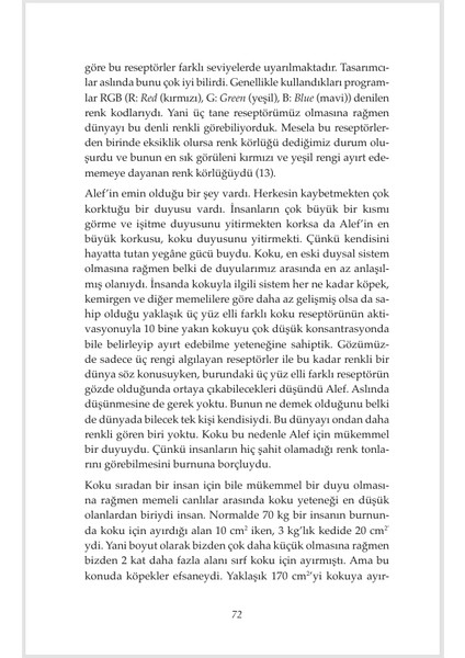 Pia Mater - Serkan Karaismailoğlu