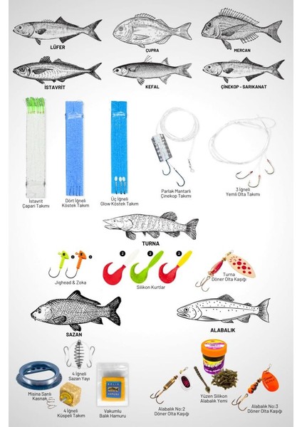 Tam Takım Spin Olta Seti - 240CM Kamış 5-30GR / 6000'LIK 3+1bb Makine - Xl - At-Çek Olta Takımı fırsatları