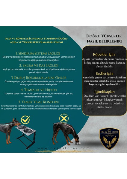 Aybisev Serisi Kedi ve Orta-Büyük Irk Köpekler Için 3 Kademeli Yükseklik Ayarlı Paslanmaz Mama Su Standı