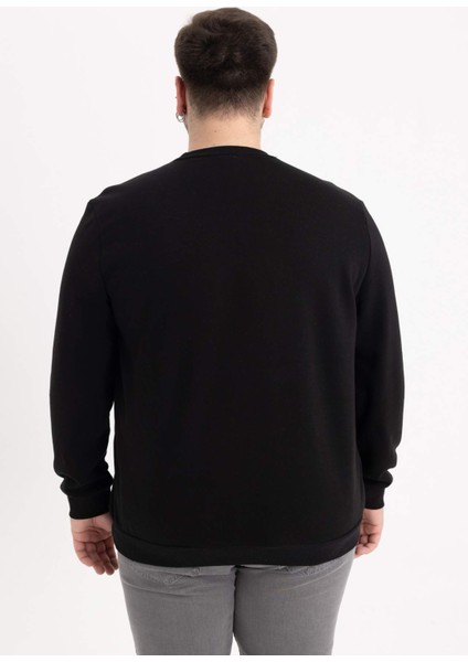 Regular Fit Bisiklet Yaka Kalın Basic Düz Sweatshirt T3777AZ23AU