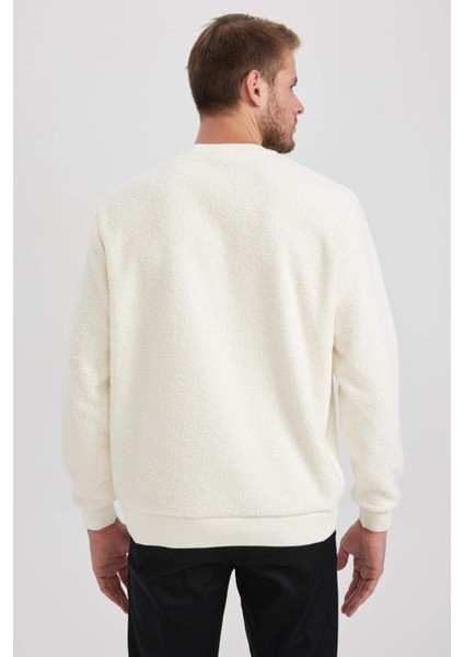 Regular Fit Bisiklet Yaka Basic Düz Pelüş Sweatshirt A6818AX23WN