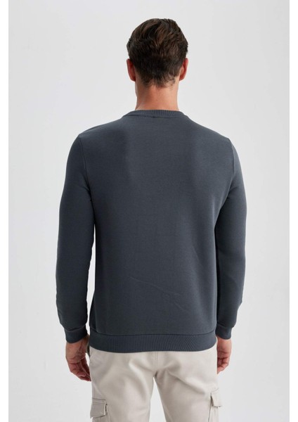 Regular Fit Bisiklet Yaka Kalın Basic Düz Sweatshirt T3777AZ23AU