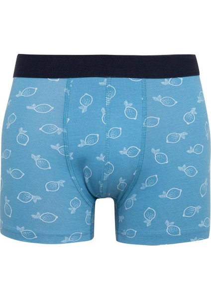 Regular Fit 3'lü Boxer B7184AX24SM