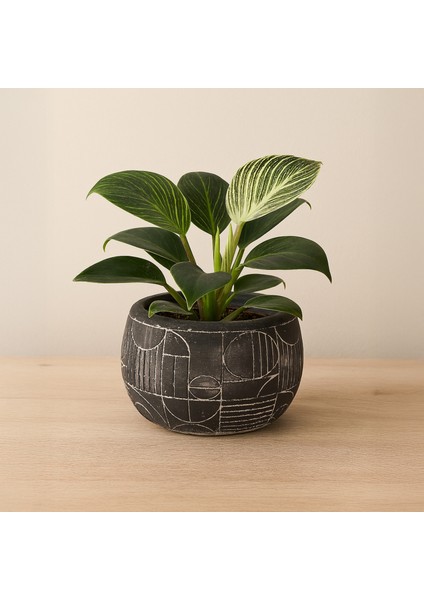 Boho Desenli Beton Saksı - Siyah - 14X12,5 cm