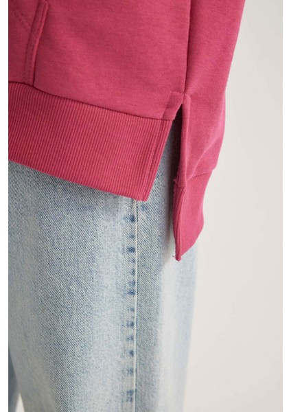 Kadın Pembe Oversize Fit Geniş Kesim Polo Yaka Düz Basic Pamuklu Sweatshirt B7834AXNS