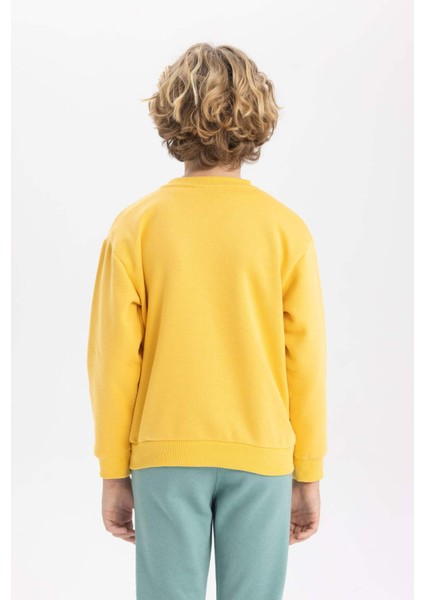 Erkek Çocuk Sarı Regular Fit Düz Kesim Basic Düz Kapüşonlu Sweatshirt B7772A8NS