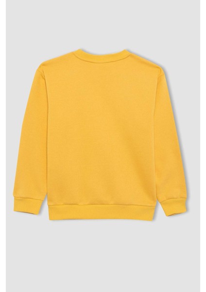 Erkek Çocuk Sarı Regular Fit Düz Kesim Basic Düz Kapüşonlu Sweatshirt B7772A8NS