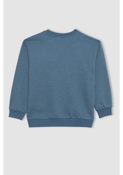 Erkek Çocuk Mavi Regular Fit Düz Kesim Basic Düz Kapüşonlu Sweatshirt B7822A8NS
