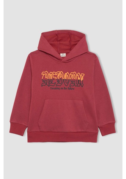 Erkek Çocuk Baskılı Kapüşonlu Kalın Sweatshirt B6312A823CW