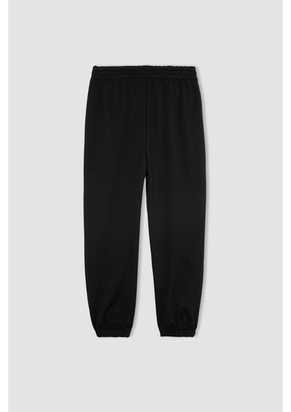 Fit Jogger Eşofman Altı Standart Fit Çift Cepli A4557AX24SP