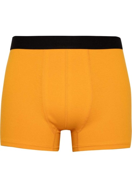 Regular Fit 3'lü Boxer B7791AX24SM