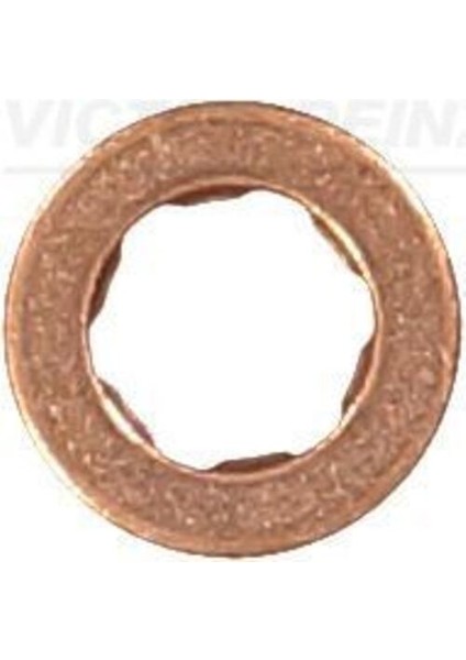 70 Reınz -40538-0 Enjektör Pulu Polo-Golf6-Caddy 1.6 Tdı 2010 Cayb-Cayc-Cayd