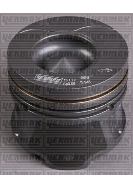 31 -4175-0 Piston Segman Std Megane Iı 1.5 Dcı 100HP Adet Soğutmalı 76MM