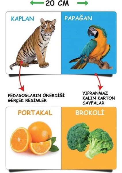 Bfs 2090 Dıytoy, Ilk Kütüphanem-Ilk Sözcükler 8'li Mini Kitap Seti fırsatları