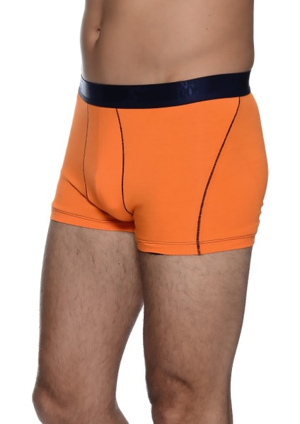 Boxer