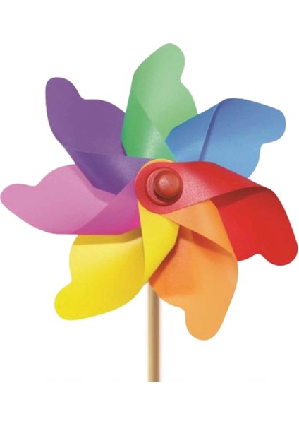 Bfs 7KANAT20CMGÖKKUŞAĞIRÜZGARGÜLÜ