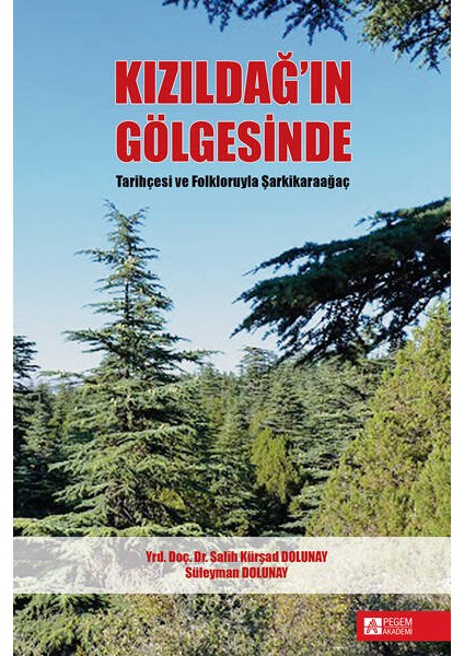 Kızıldağın Gölgesinde Tarihçesi ve Folkloruyla Şarkikaraağaç