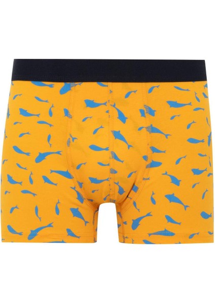 Regular Fit 3'lü Boxer W9686AZ24SM