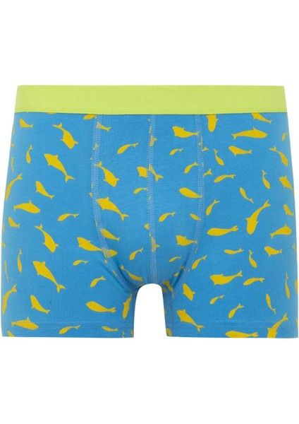 Regular Fit 3'lü Boxer W9686AZ24SM