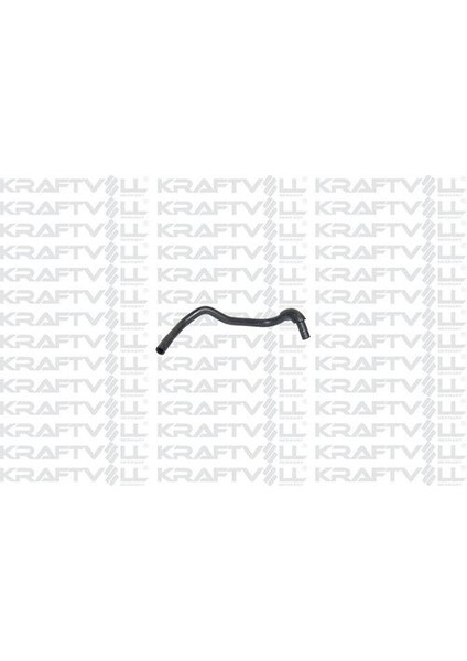 10031840 Genlesme Sıse Hortumu Kangoo 1.9 D