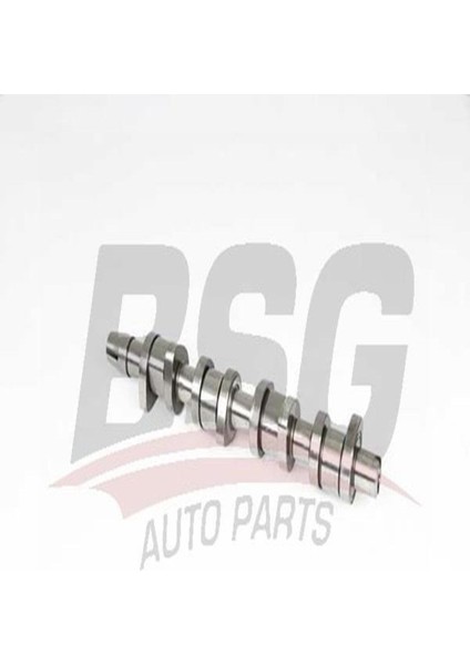 90-108-013 Eksantrik Mili 90108013 (WE562517)