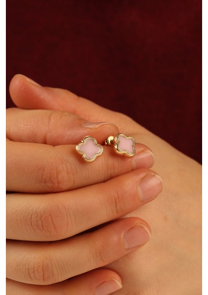 Pembe Yonca Altın Küpe CGKKP0207 fiyatları