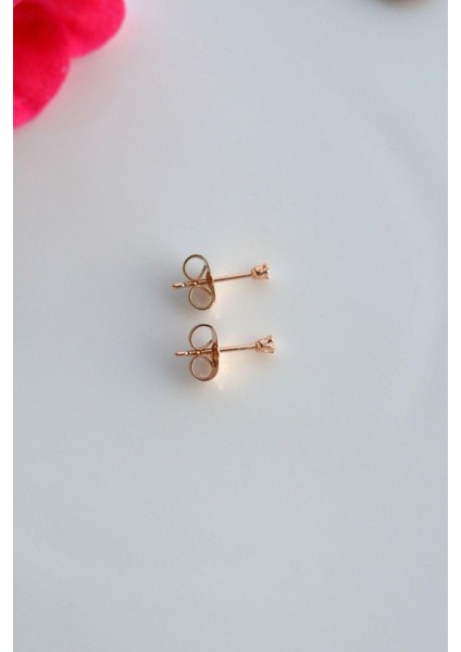 Sacce Scarves&Accessories Zirkon Taşlı 2 mm Tektaş Küpe modelleri