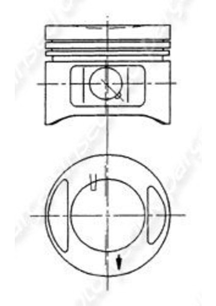31 Motor Piston Segman Std Grande Punto 1.2